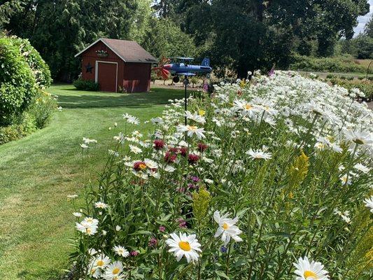 Wildflowers and manicured lawns are the pride and joy at Lucy's Garden.