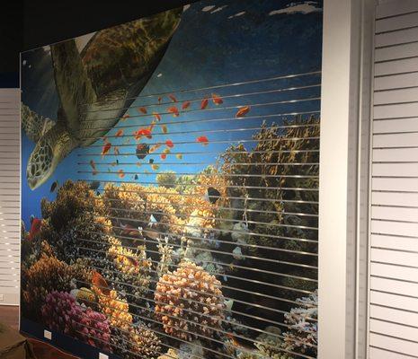 Custom slatwall project for Texas Aquarium