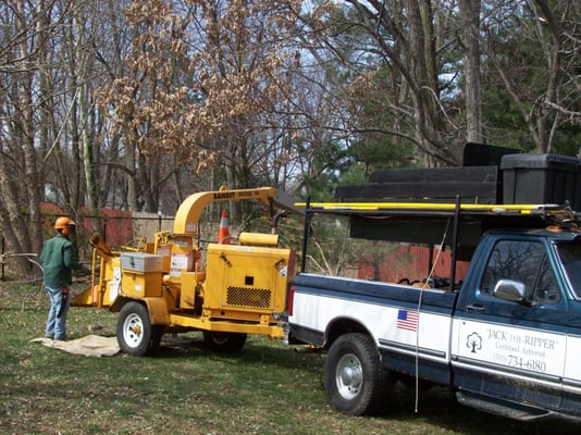 Jack-the-Ripper Certified Arborists