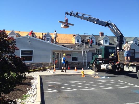 Quakertown Veterinary Clinic - During