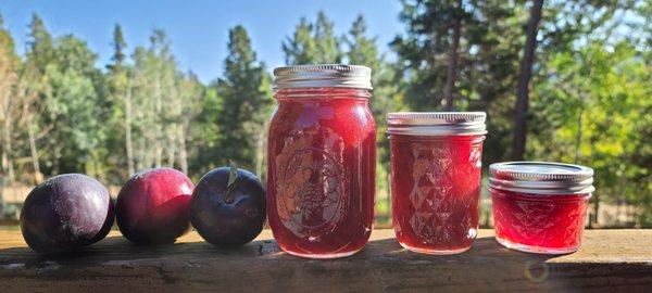 Plum Preserves