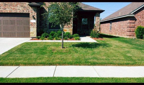 Lawn Care Arlington