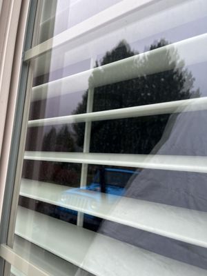 Your windows are not clean unless they are Pristine!