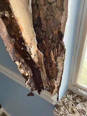 Realtor covered up mold. She took property off MLS, removed moldy furniture, painted and relisted for sale. This is illegal in Florida.