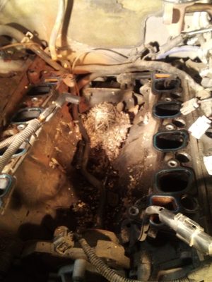 4.6 Ford f 150 motor tare down