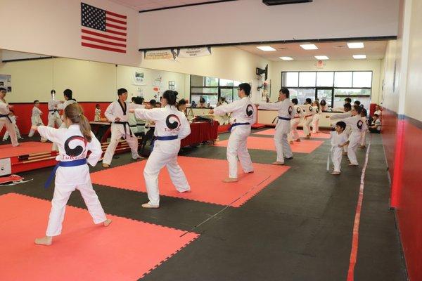 TaeKwonDo Academy