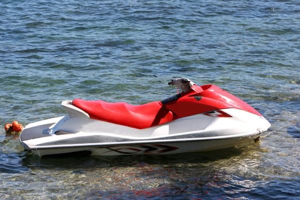 Jet Ski Repairs and Maintenance