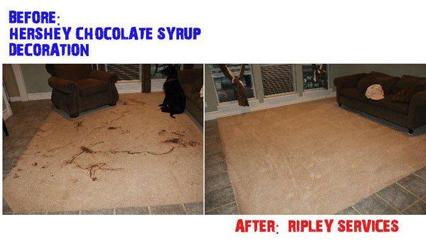 Chocolate syrup disaster.  Notice the patient Lab int eh background resisting the urge to lick it all up!