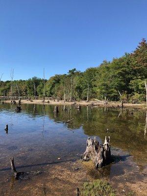 Another nice view off of Cove Trail