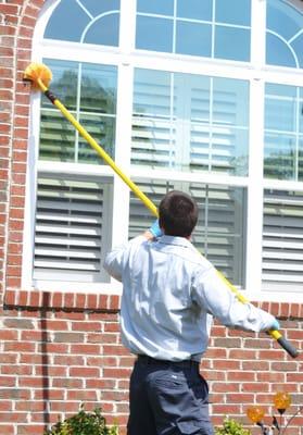 Web and wasp nest removal