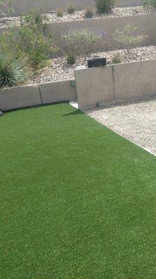 Amazing Artificial Grass