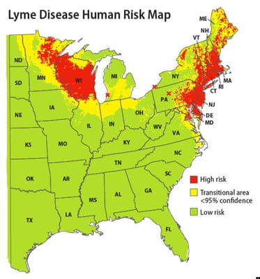 Risk assessment map for Lyme disease.