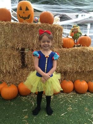 Pumpkin Patch where all kids are able to pick their own pumpkin :)