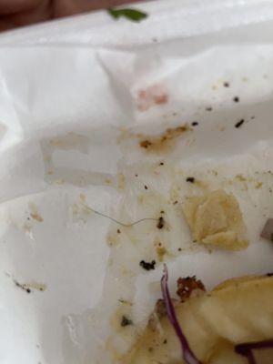 A piece of hair in the shrimp tacos