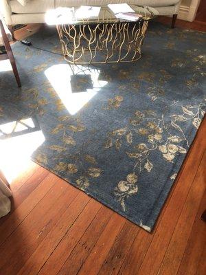 Area rug cleaning