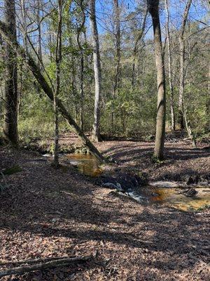 Jennings State Forest