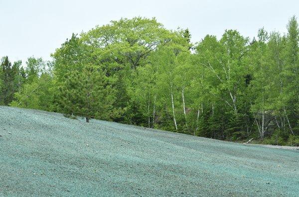 Hydroseeding