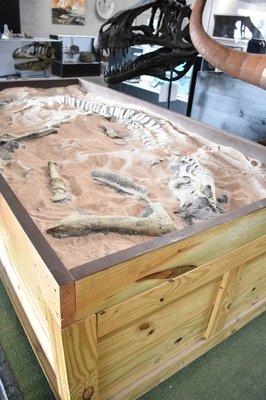 Kids interactive fossil dig box