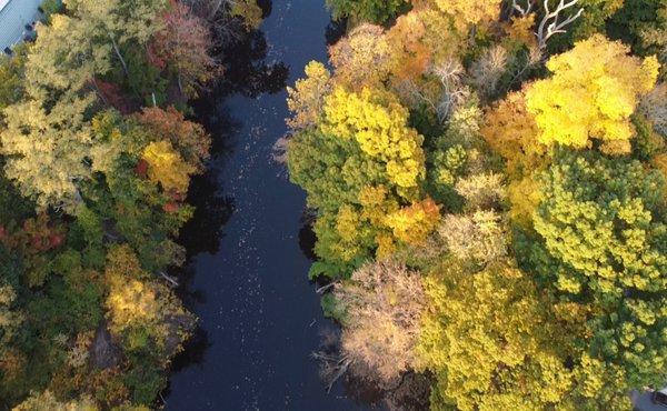 Foliage by Fishkill Creek