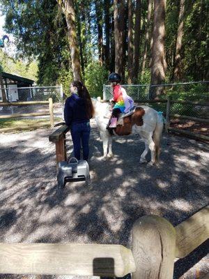 Horse rides!