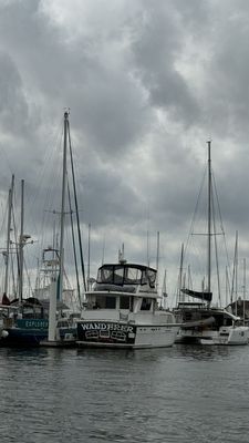 A windy day at the marina