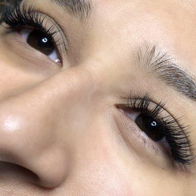 Classic Lashes