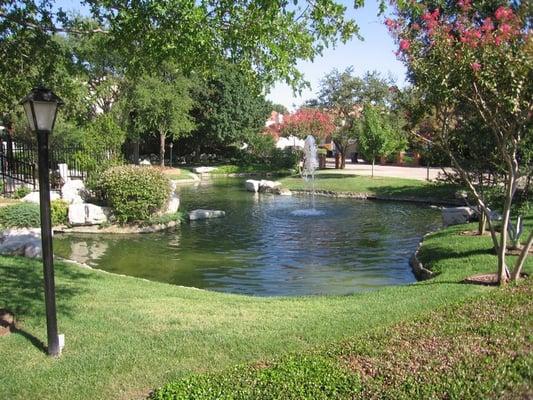 Landscaping, small pond and fountain.