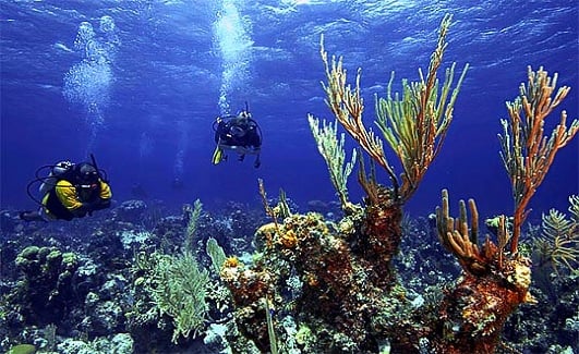 Typical Day of Diving in Caribbean