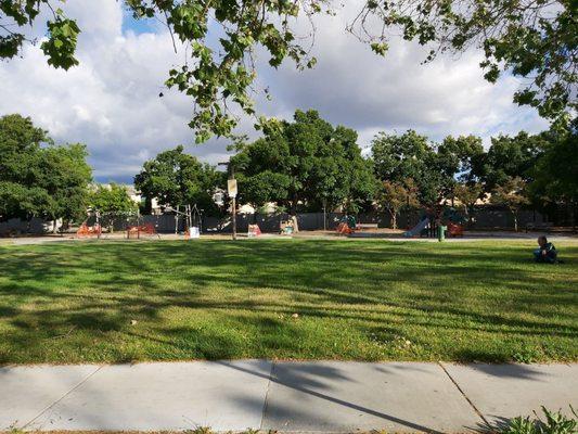 Playground and lawn