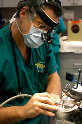 Dr. Luskin performing a patient procedure