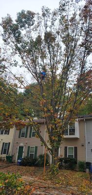 A Duartes’s Tree service and Lanscaping