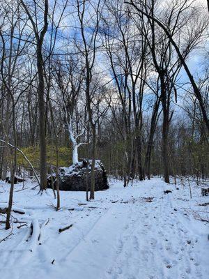 Hiking trail through Dinosaur Hill