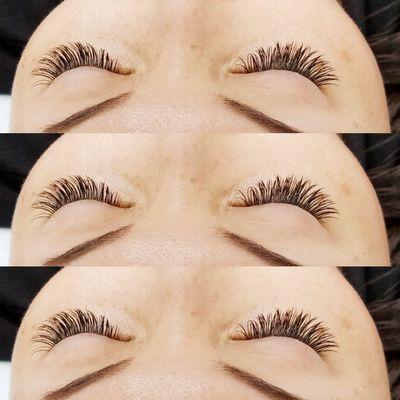 Classic eyelash extension