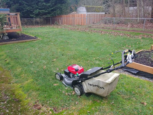 Before! Lawn mow + Leaf cleanup!