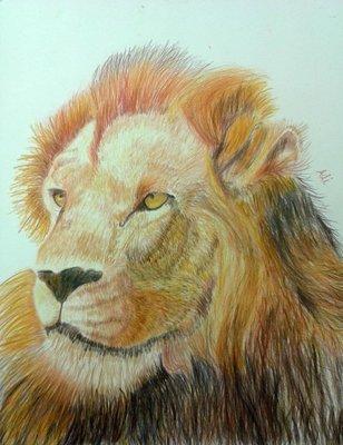 Age 10 "Lion" 
 Colored Pencil