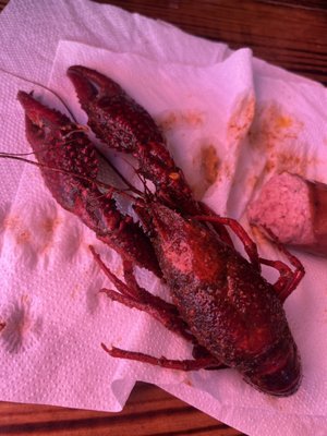 Big 'ole crawfish!