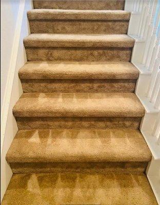 Beautiful stairs after our carpet cleaning!