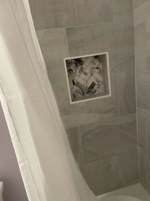 A niche space to place shower essentials