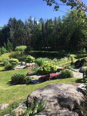 Landscape design and gardens of a pond and grass lawn.