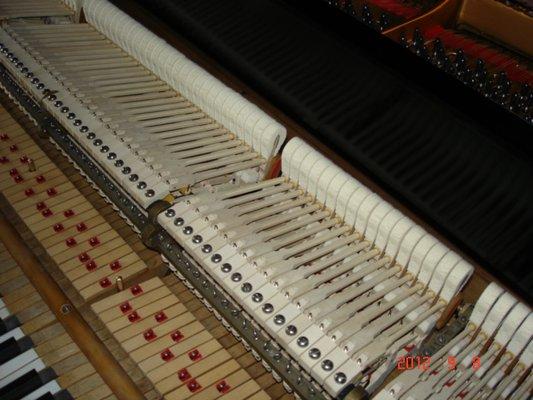 Rebuilding a Steinway action