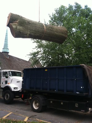 Removing a large tree with a specialized crane and chipper.