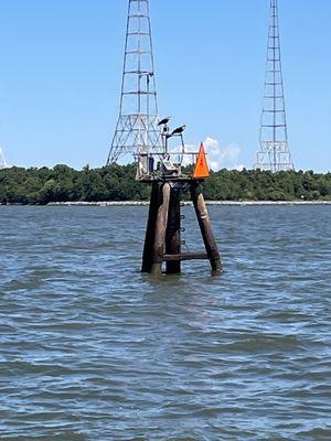 View of the land from the sailboat