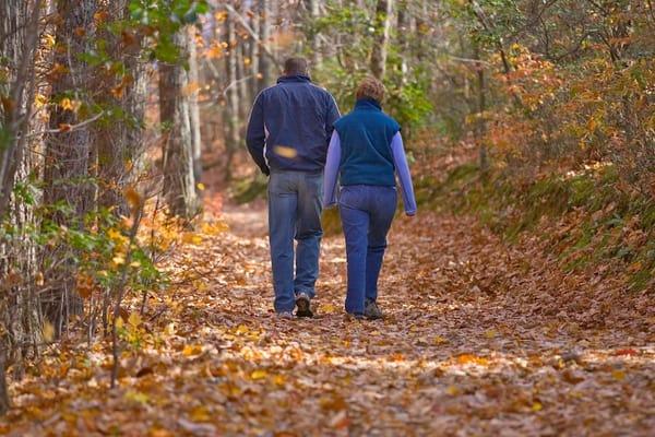 Trails in the property and in the surrounding mountains