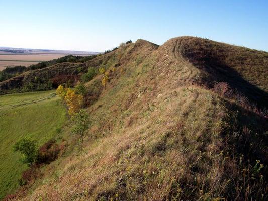 Loess ridge