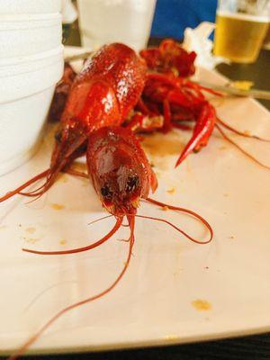 Crawfish