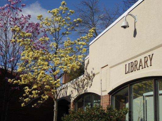 Tenafly Library from the Peace Plaza in spring