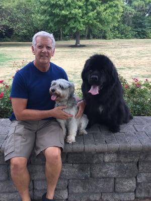 Tom Broderick with his clients dog Willie and his Newfy puppy Owen