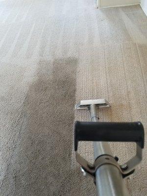 how to clean carpets