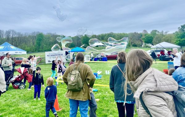 Bubbletopia -- Springton Manor Farm, Sheep & Wool 2024