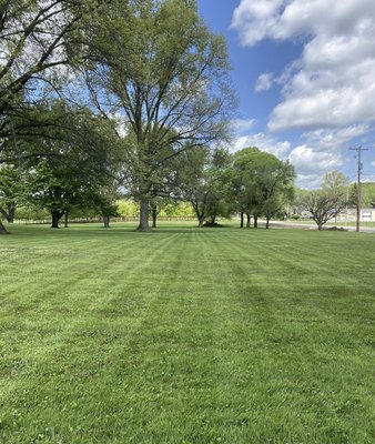 Neatly done lawn that would make every dad on the block say "respect"